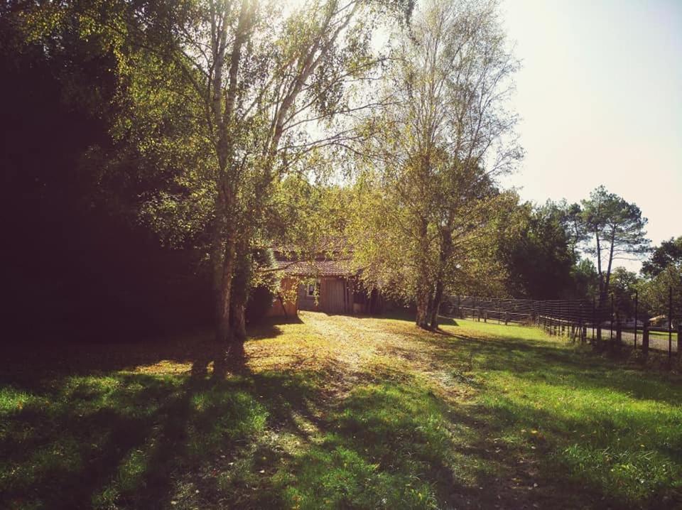 Apartamento 2 Coeurs 2 Landes Garrosse Exterior foto